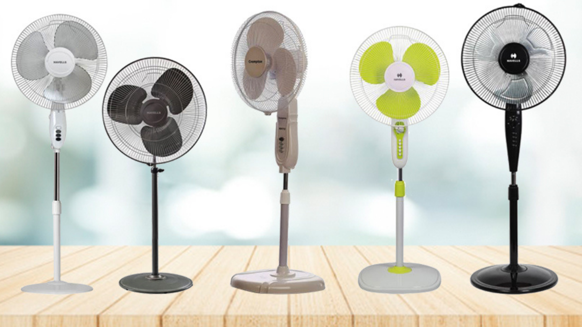 Paddle Fan